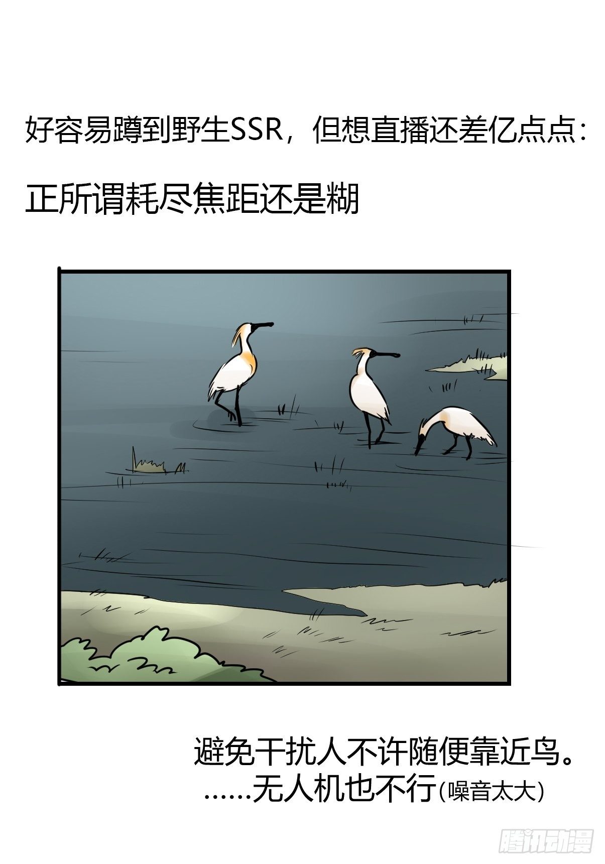 四海篇02：升星天团飞到！(1/2)-第234话
