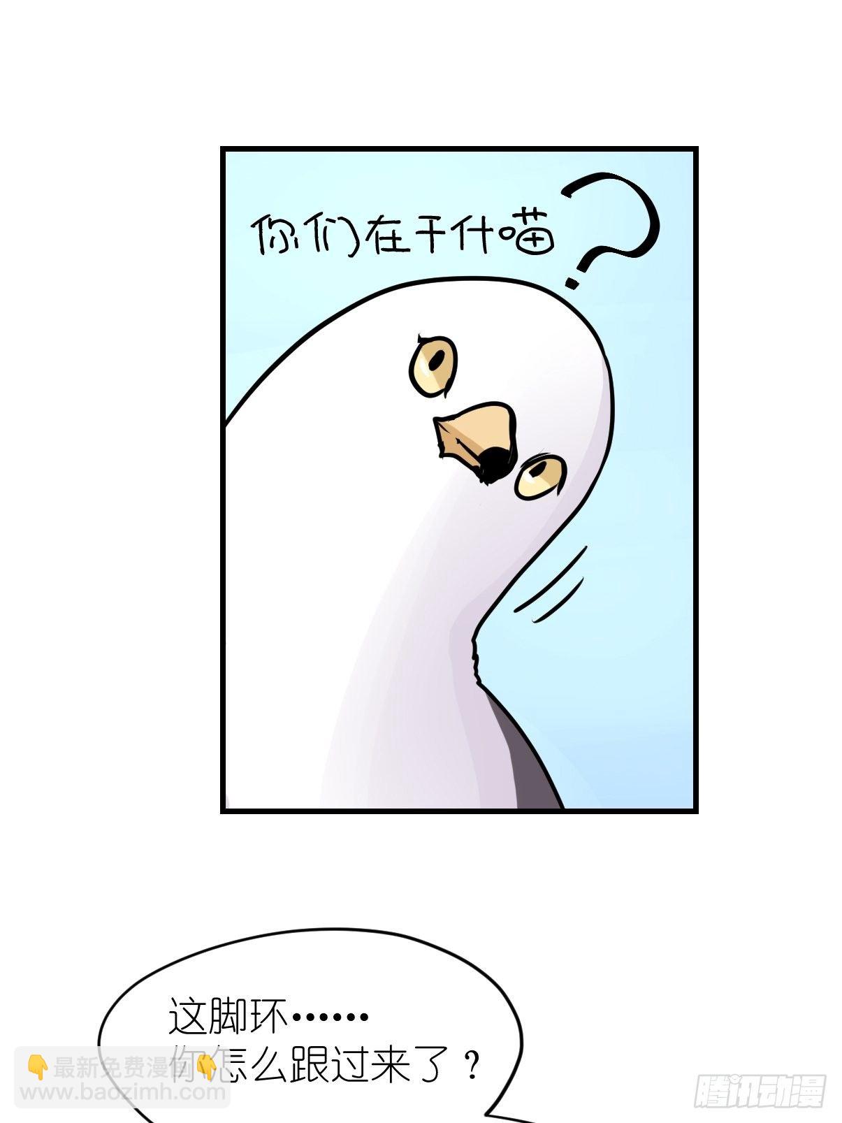 四海篇06：野生混混的生存哲学-第238话