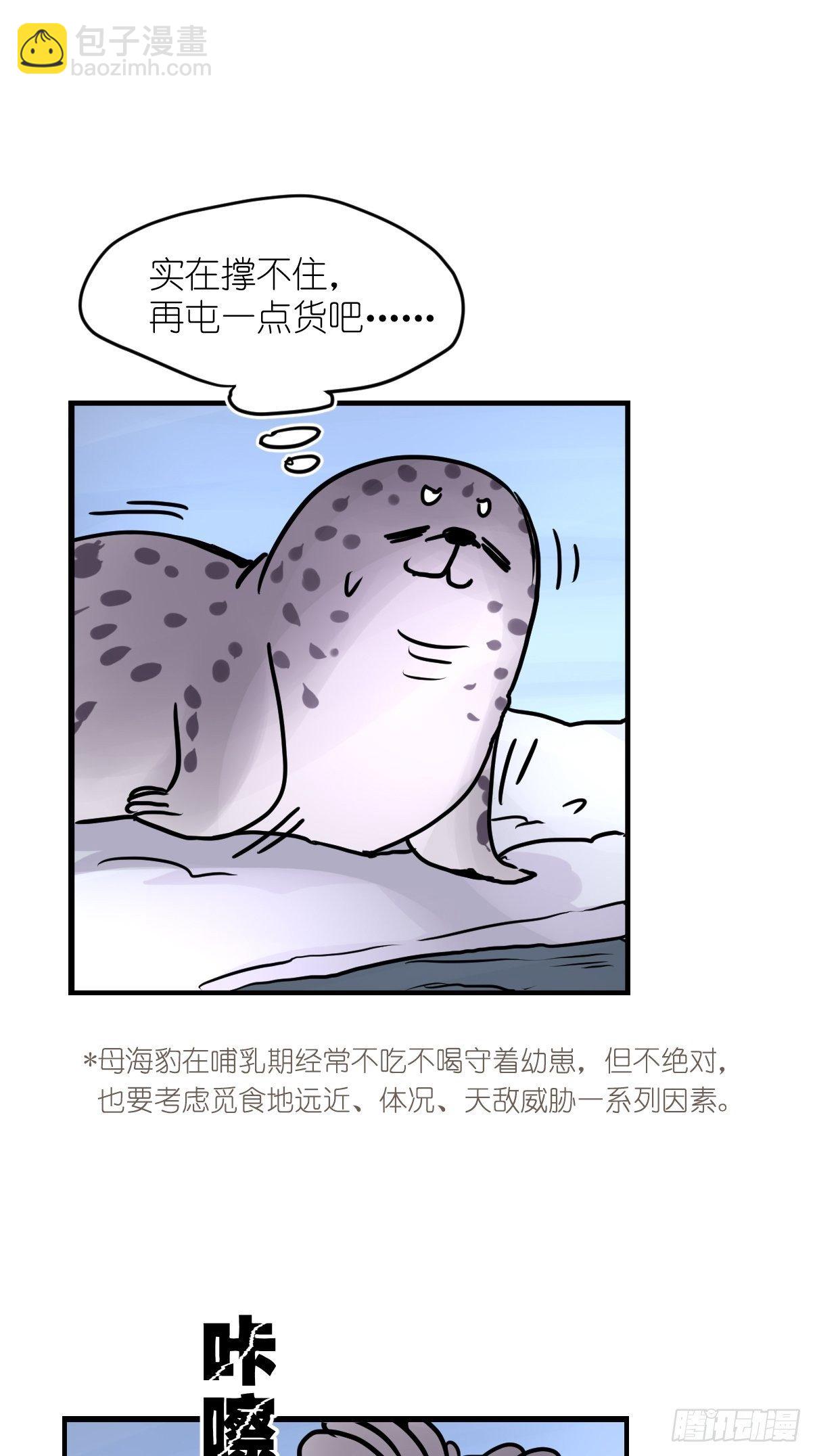 四海篇08：海豹豹的奇幻漂流1-第240话