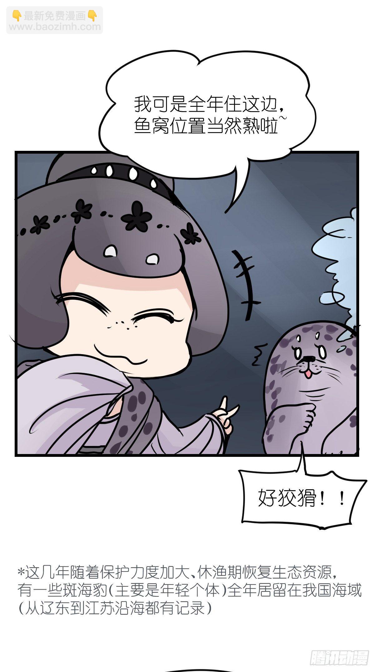 四海篇08：海豹豹的奇幻漂流1-第240话