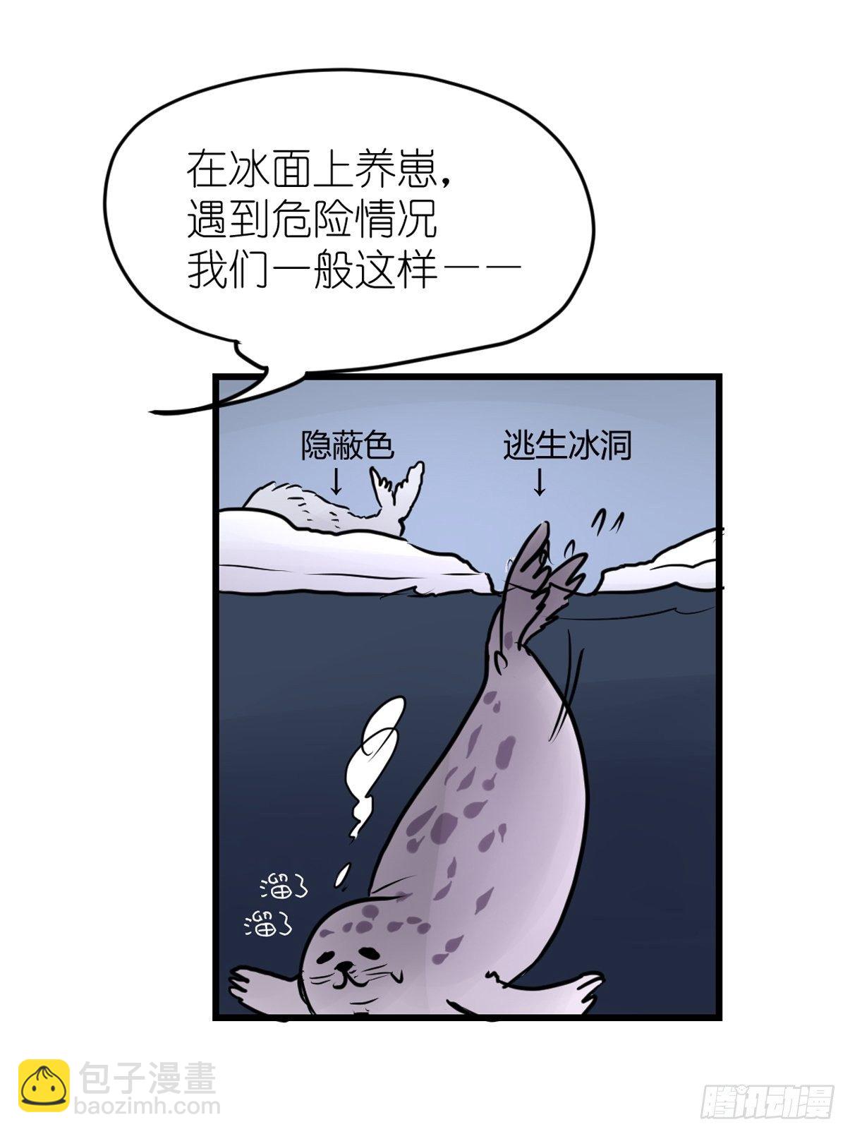 四海篇08：海豹豹的奇幻漂流1-第240话