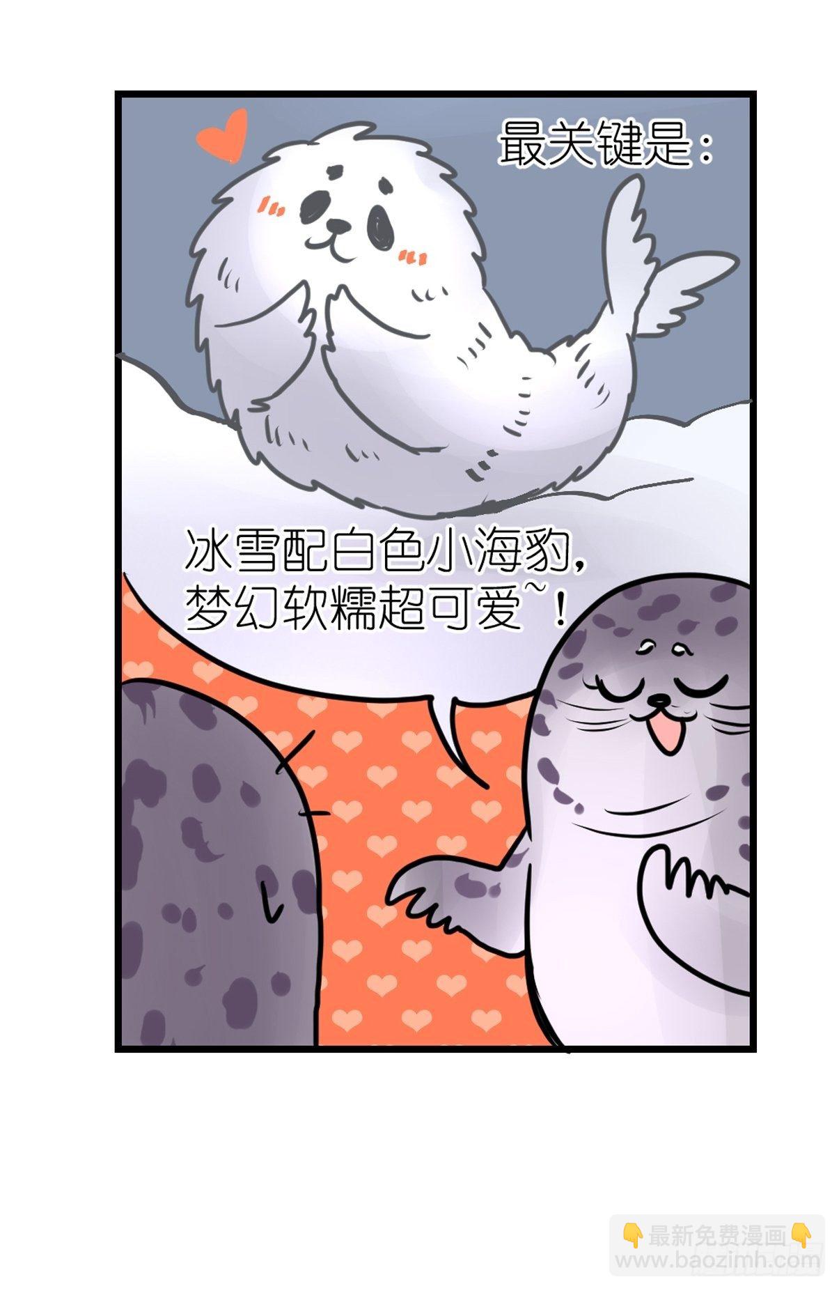 四海篇08：海豹豹的奇幻漂流1-第240话