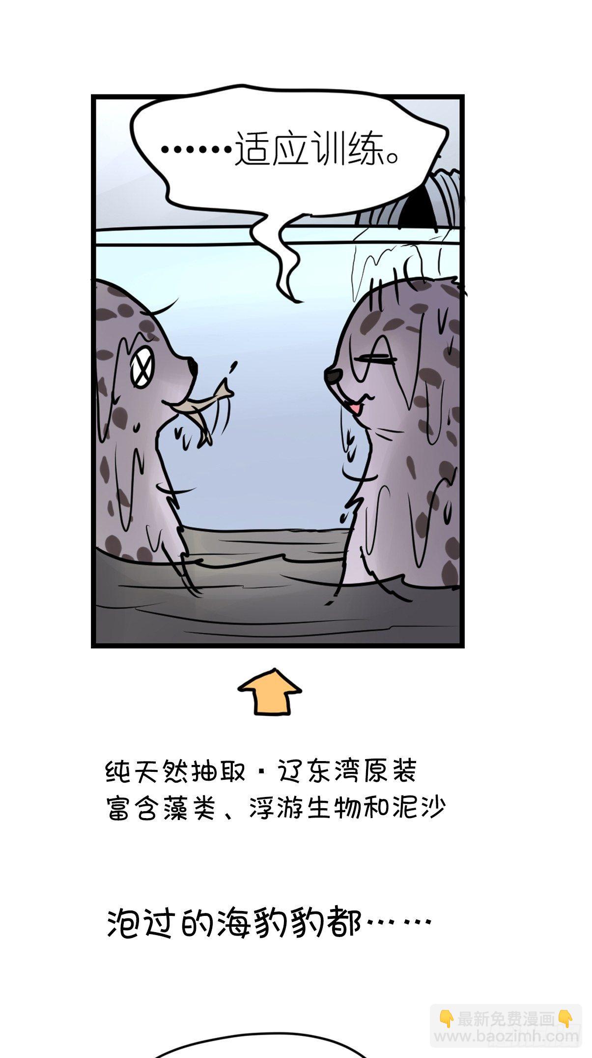 四海篇10：海豹豹的奇幻漂流3-第242话
