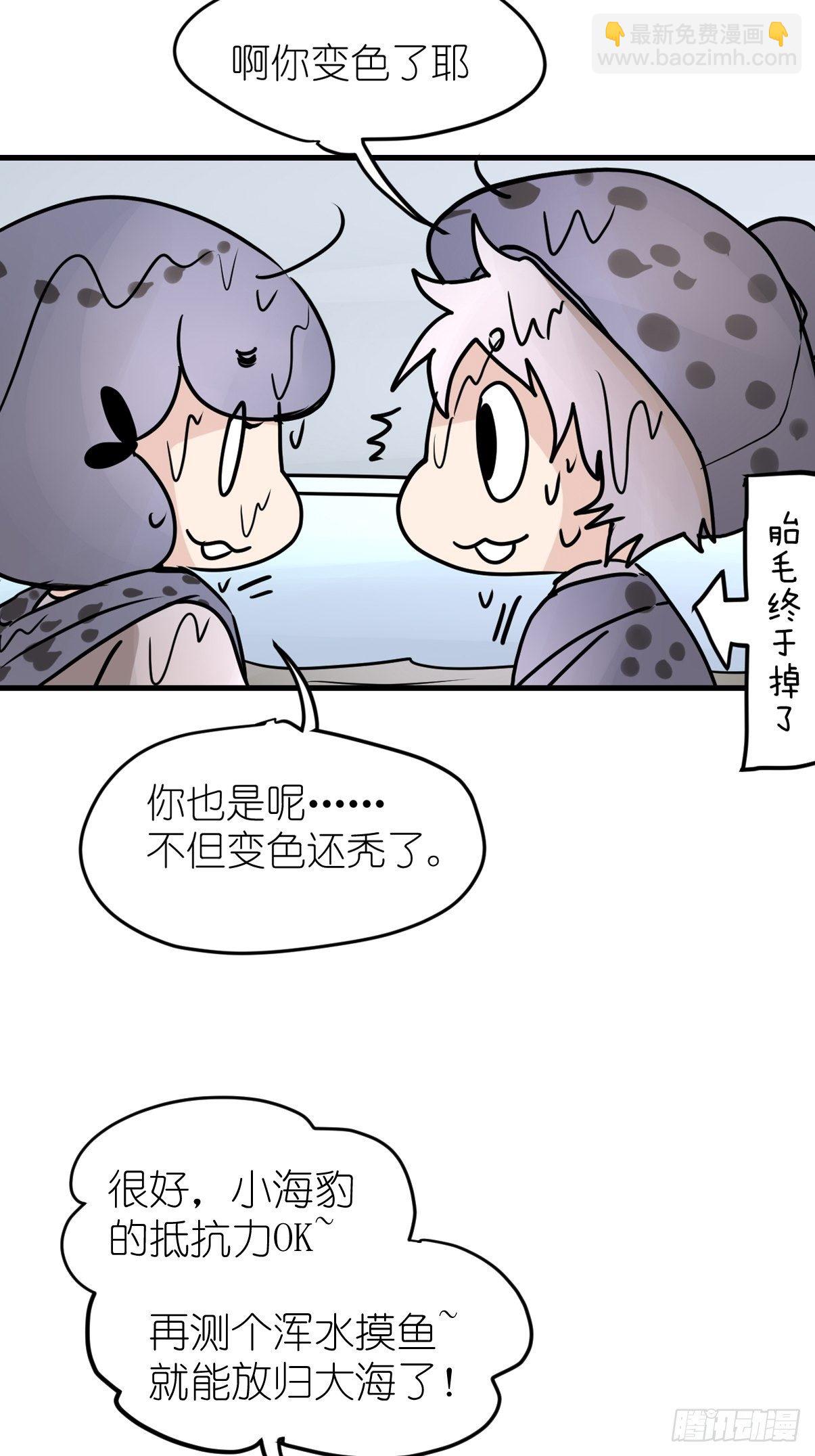 四海篇10：海豹豹的奇幻漂流3-第242话