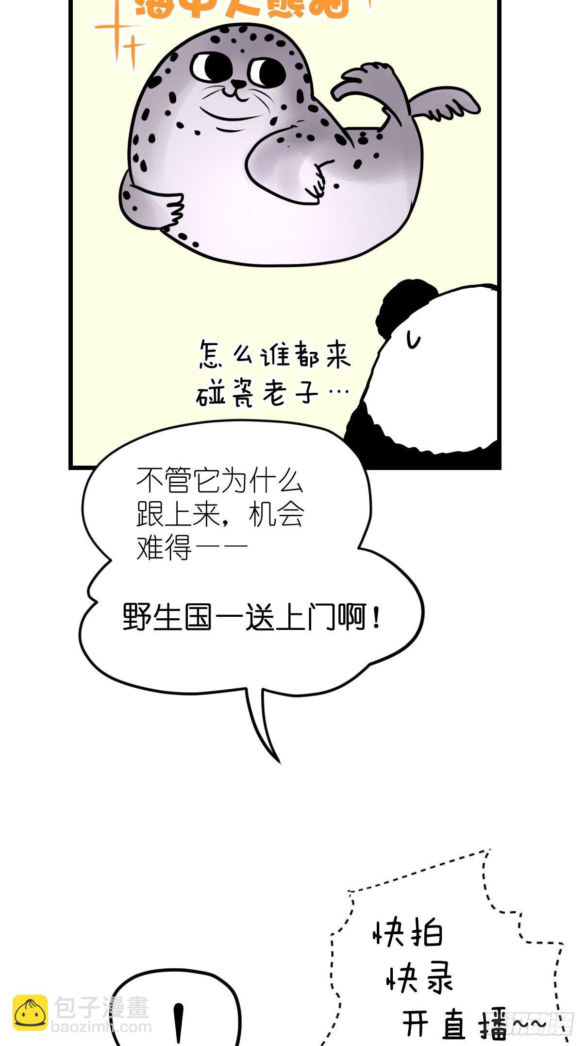 四海篇10：海豹豹的奇幻漂流3-第242话