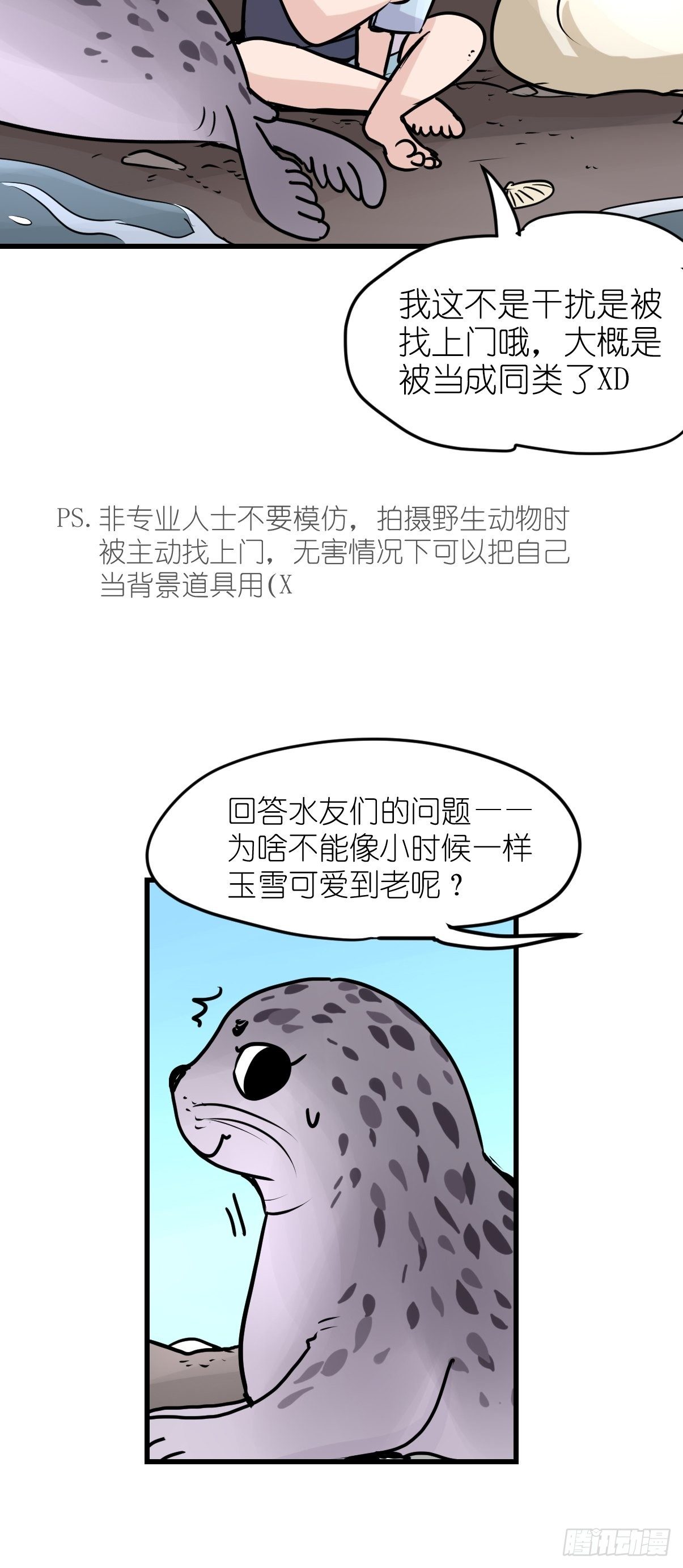 四海篇10：海豹豹的奇幻漂流3-第242话