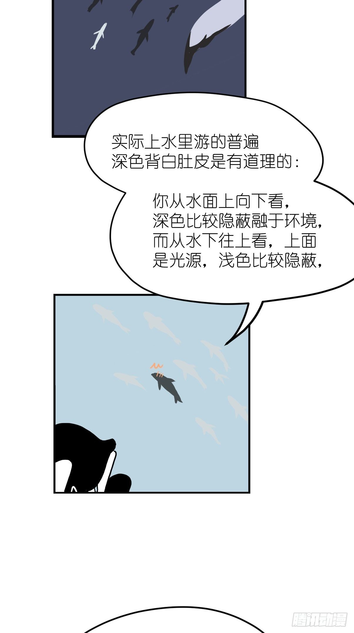 四海篇10：海豹豹的奇幻漂流3-第242话