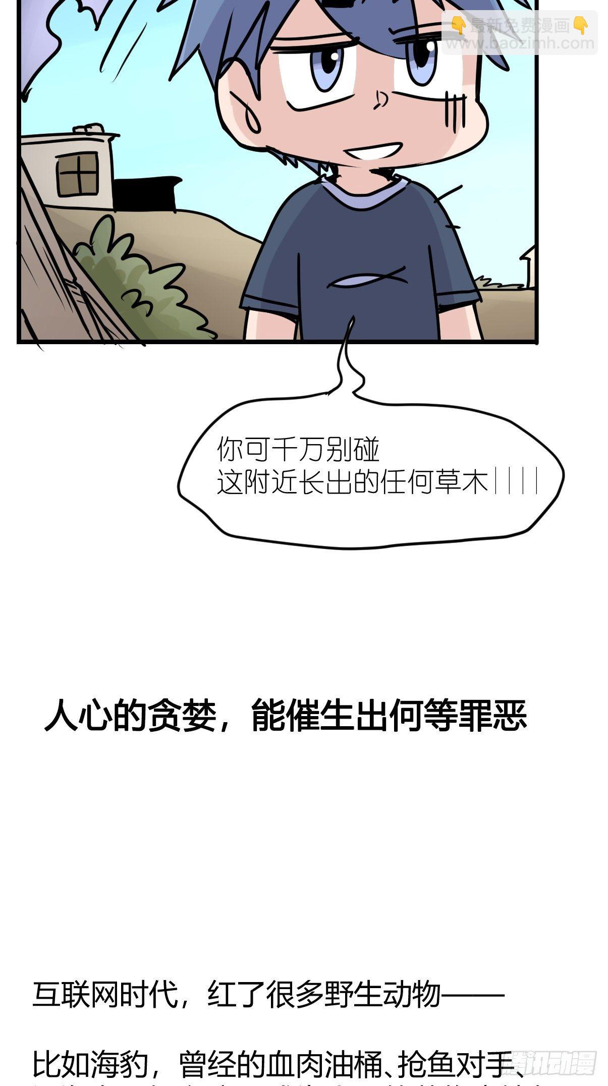 四海篇10：海豹豹的奇幻漂流3-第242话