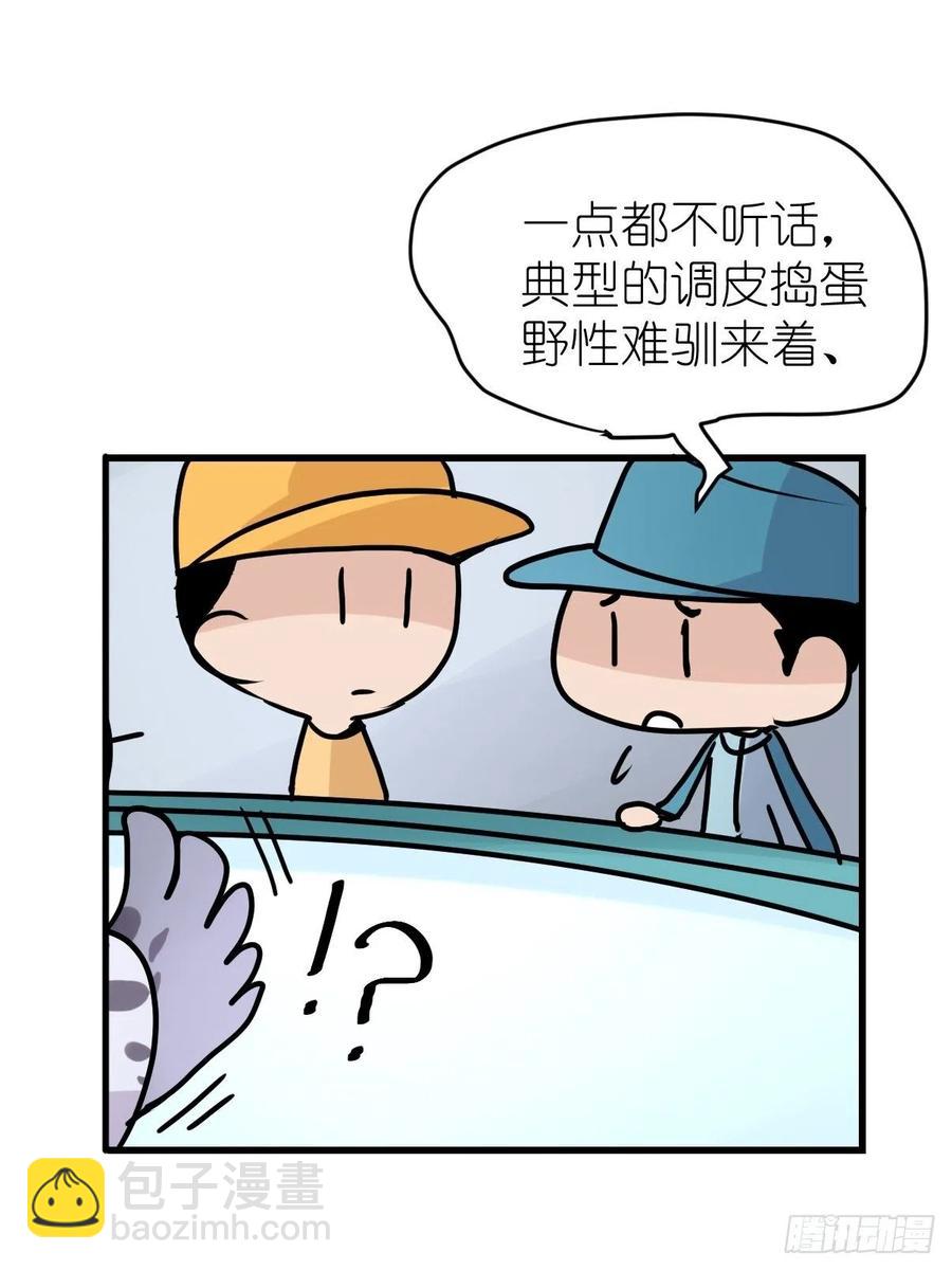 四海篇14：海豹豹奇幻漂流7(1/2)-第246话