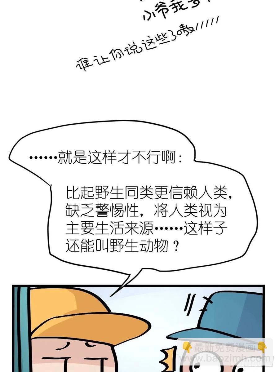 四海篇14：海豹豹奇幻漂流7(1/2)-第246话