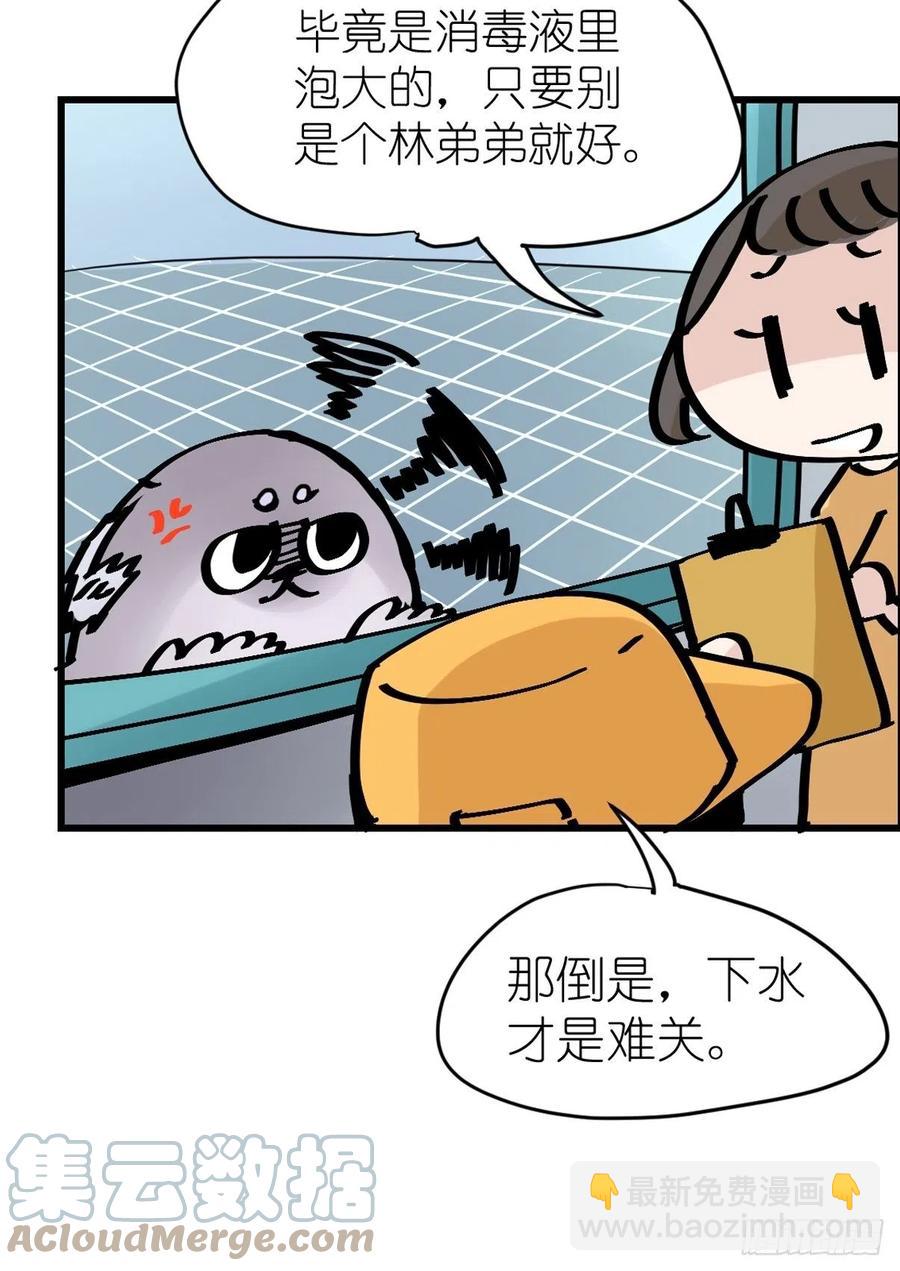 四海篇14：海豹豹奇幻漂流7(1/2)-第246话