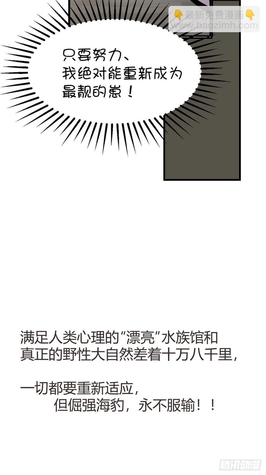四海篇14：海豹豹奇幻漂流7(1/2)-第246话