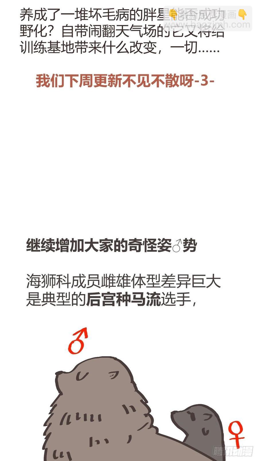 四海篇14：海豹豹奇幻漂流7(1/2)-第246话