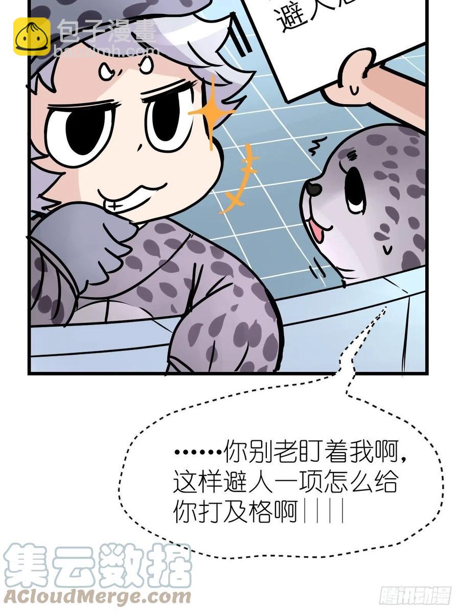 四海篇16：海豹豹奇幻漂流9-第248话