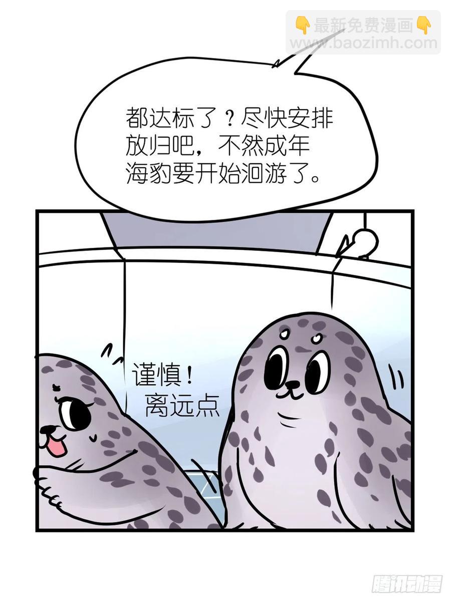 四海篇16：海豹豹奇幻漂流9-第248话