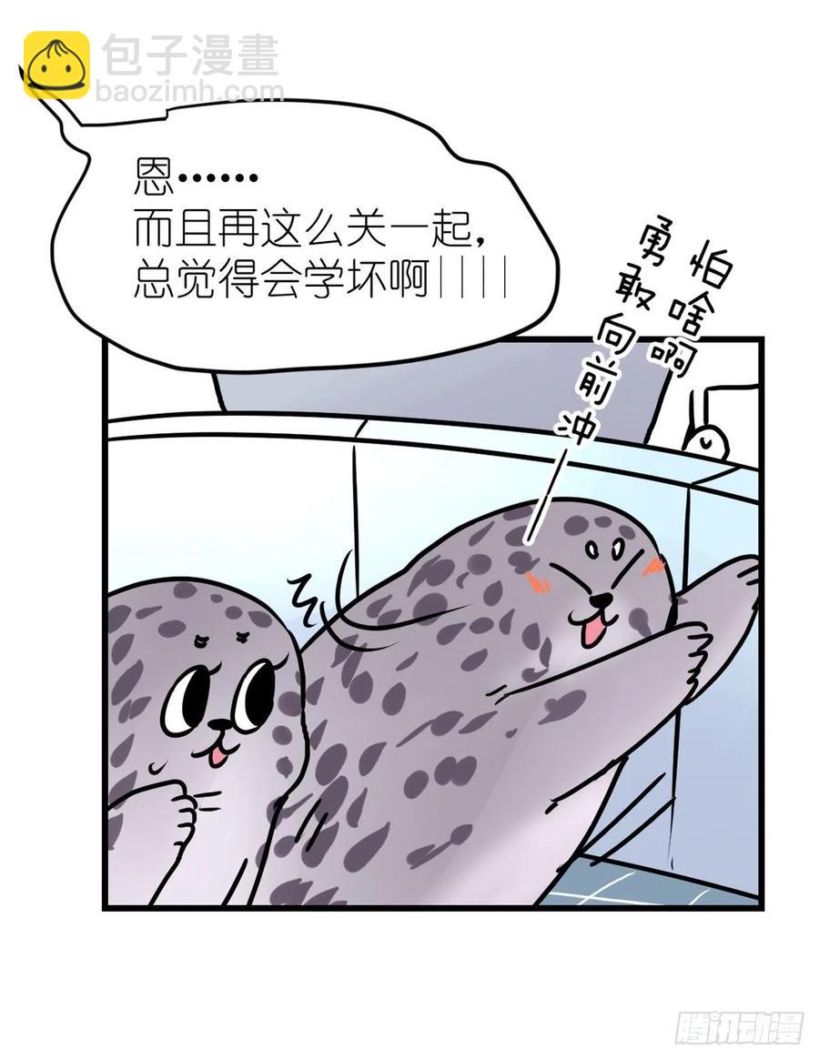 四海篇16：海豹豹奇幻漂流9-第248话