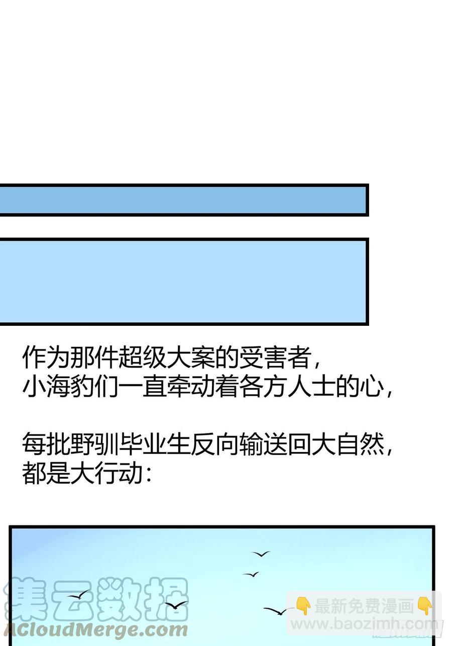 四海篇16：海豹豹奇幻漂流9-第248话