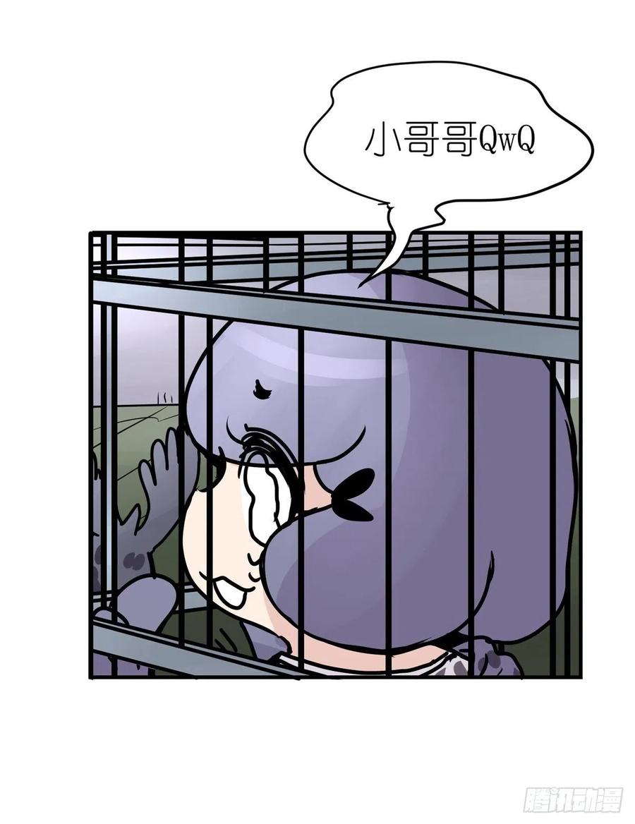 四海篇16：海豹豹奇幻漂流9-第248话