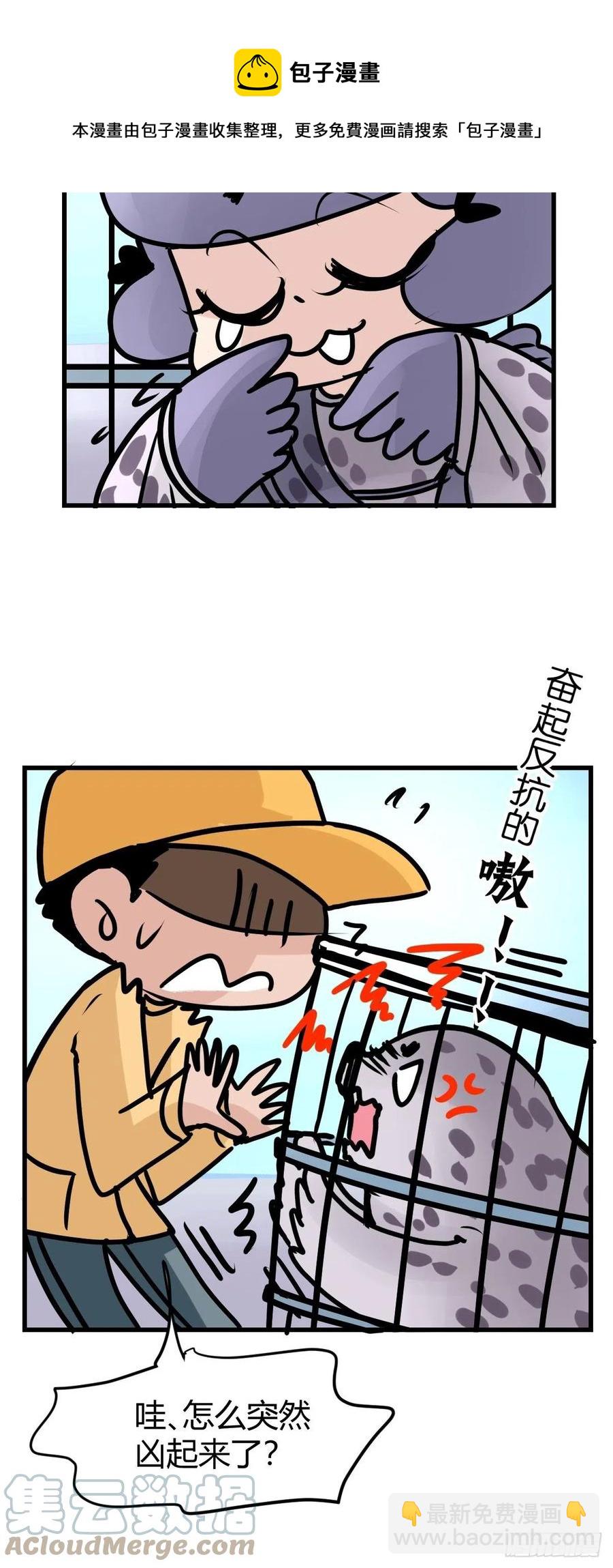 四海篇16：海豹豹奇幻漂流9-第248话