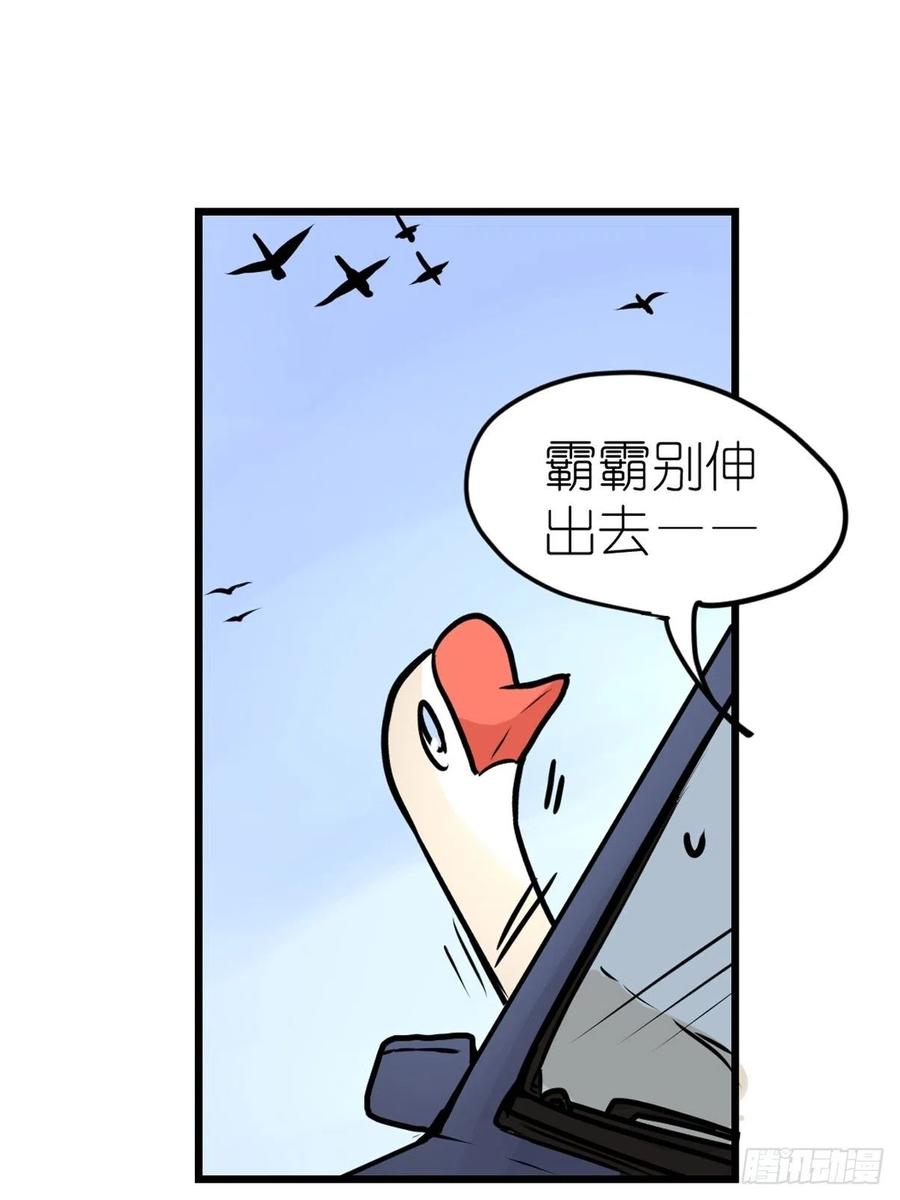四海篇18：二呆的鬼主意-第250话
