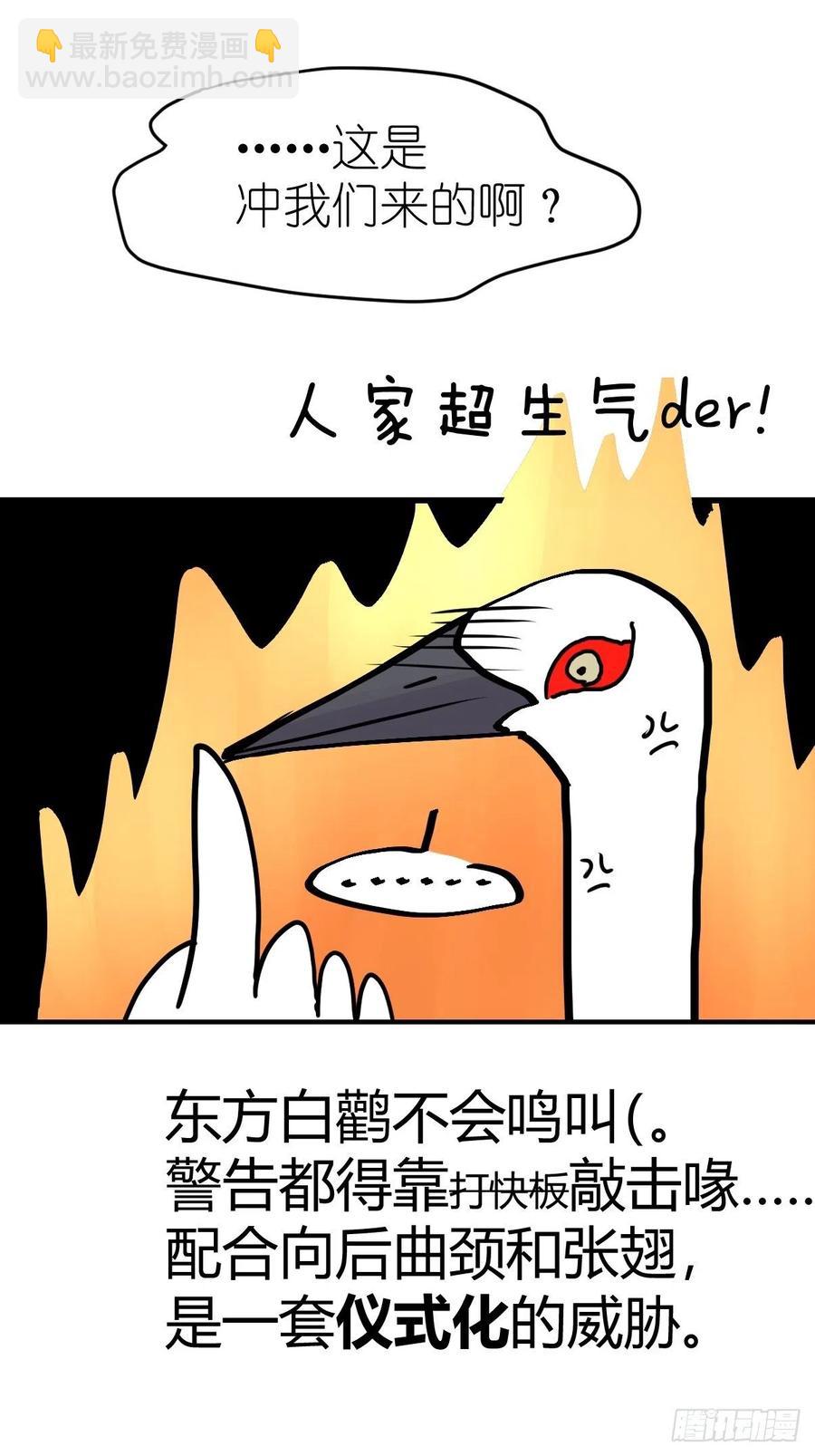 四海篇18：二呆的鬼主意-第250话