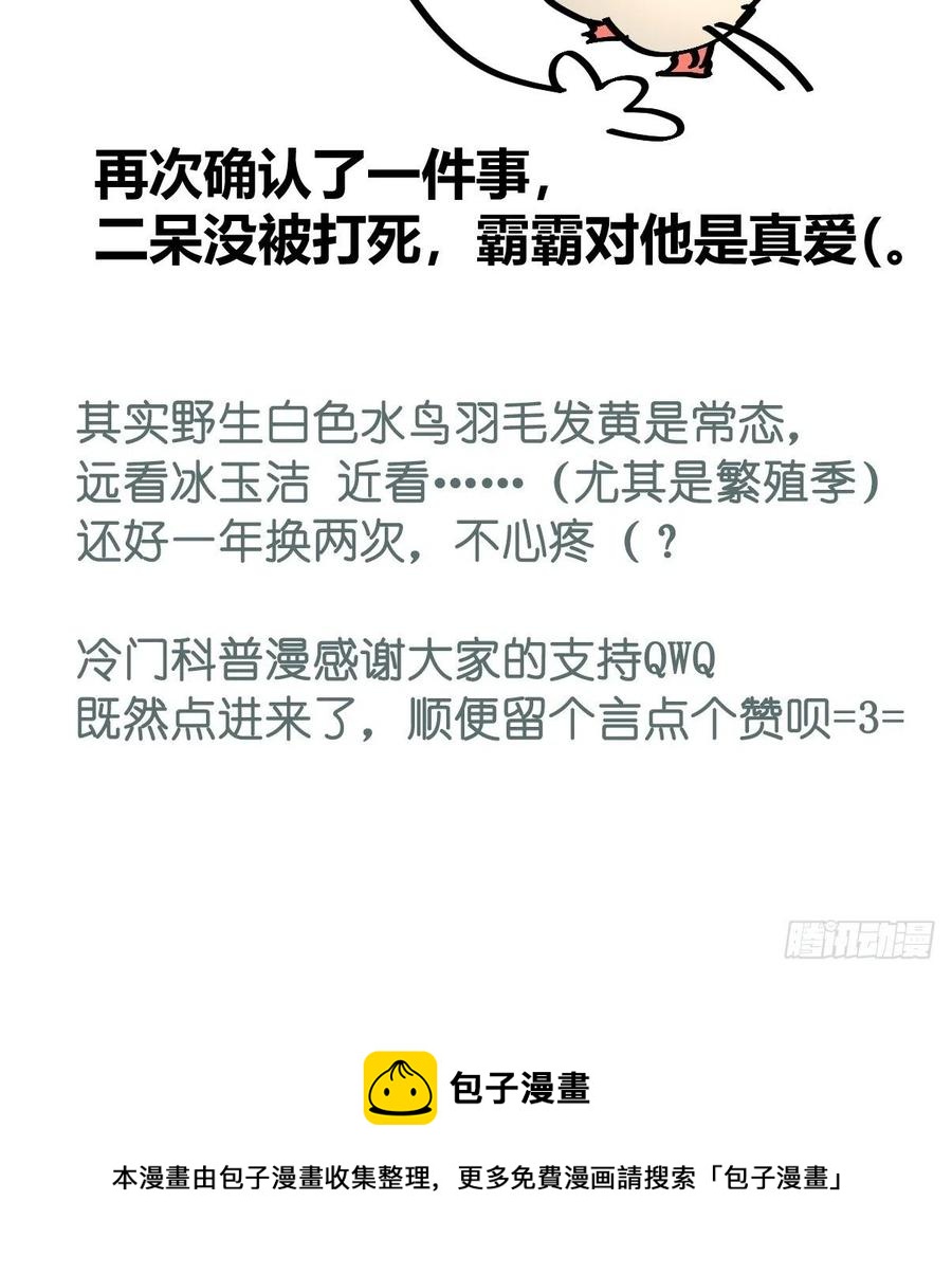 四海篇18：二呆的鬼主意-第250话