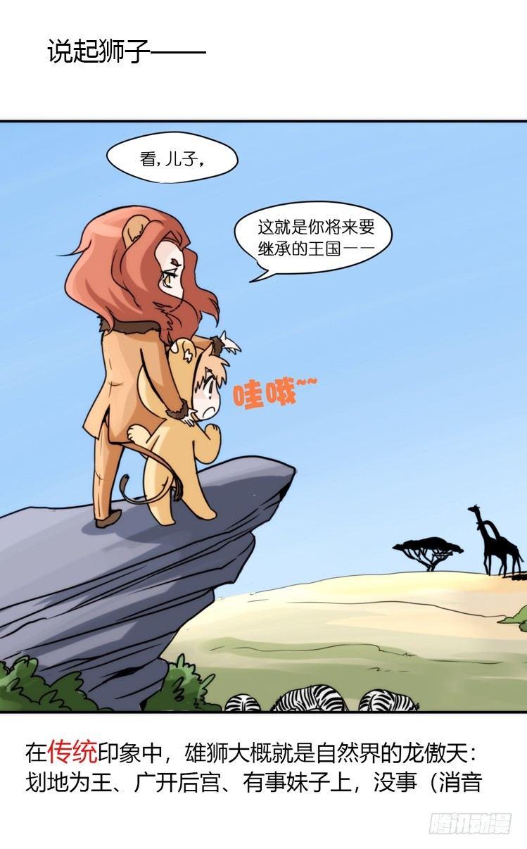 是这样的狮JI王？！-01-第26话