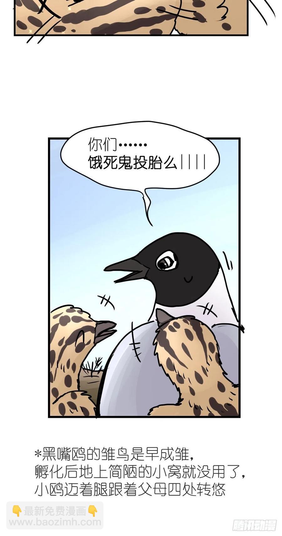 四海篇22：进狱系国宝？04(1/2)-第254话