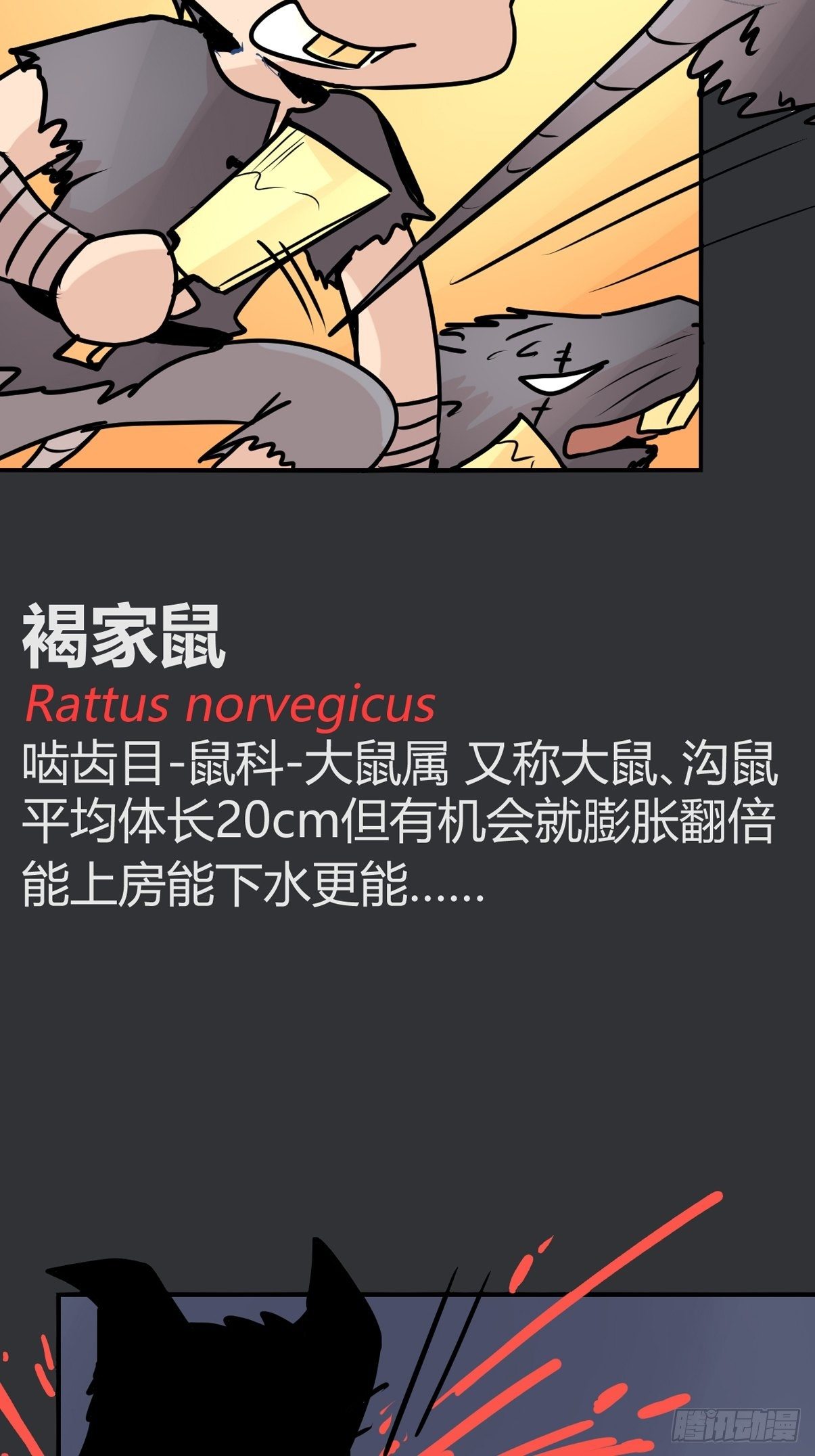 四海篇28：山中无老虎&middot;下-第260话
