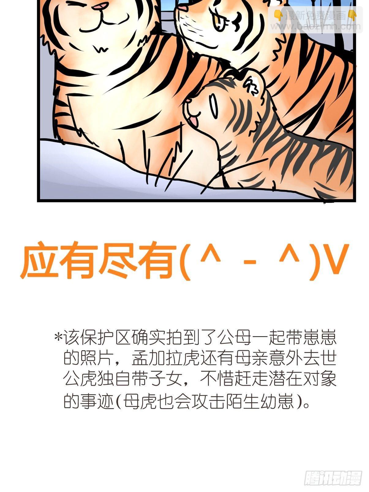 虎年特别篇：王者归来02(1/2)-第262话