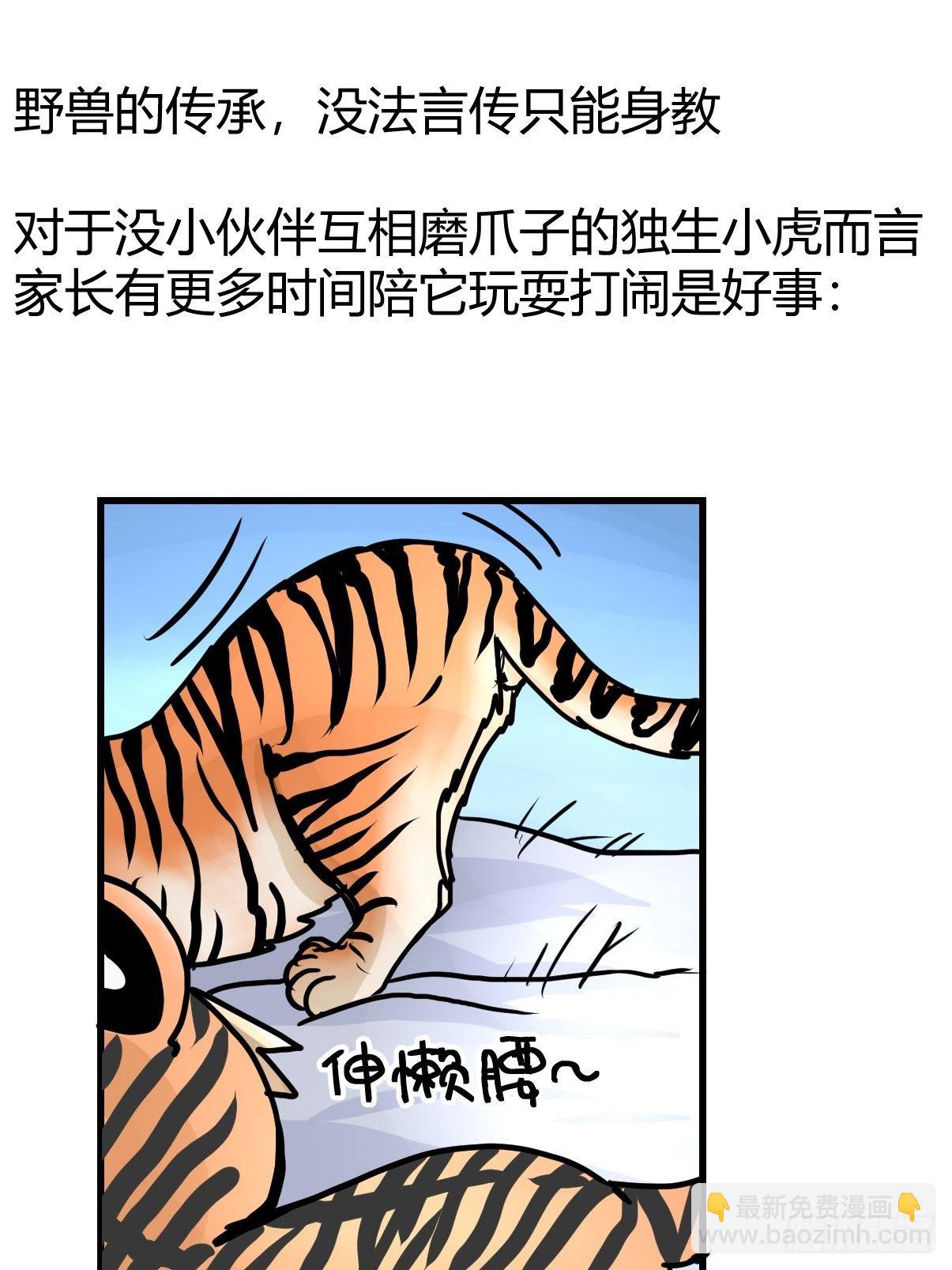 虎年特别篇：王者归来02(1/2)-第262话