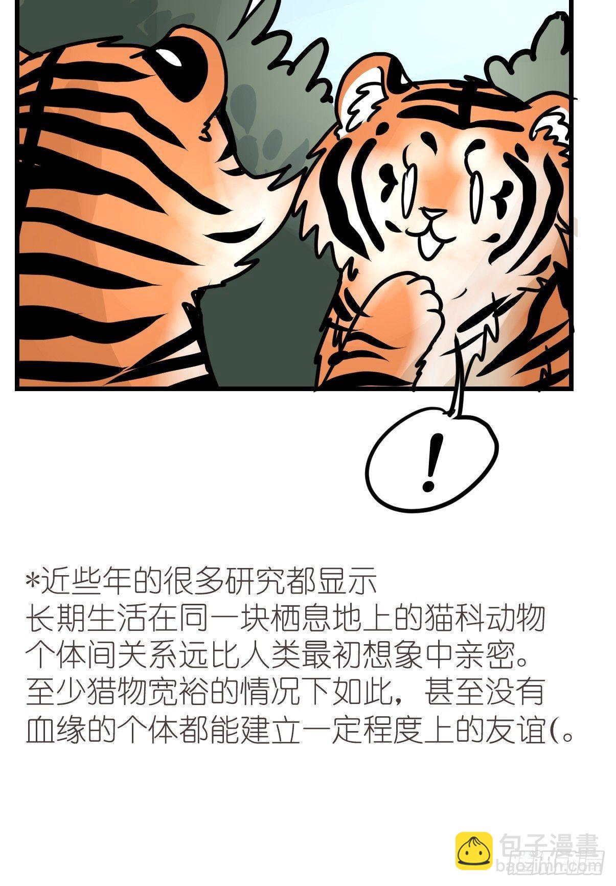 虎年特别篇：王者归来04-第264话