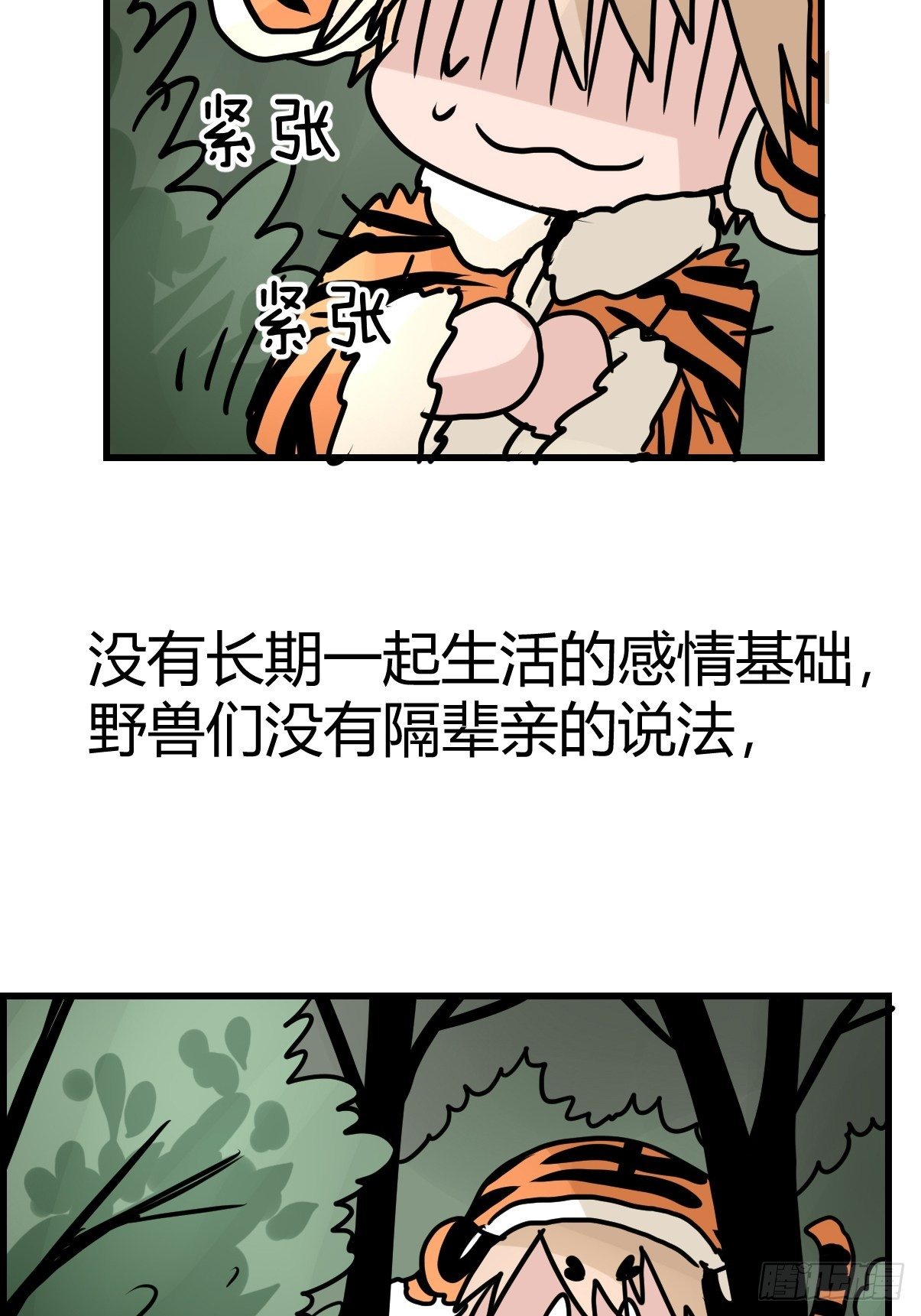 虎年特别篇：王者归来04-第264话