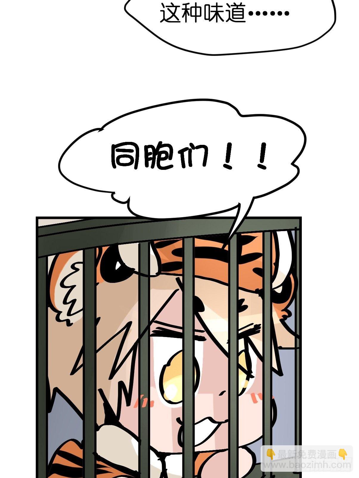 虎年特别篇：王者归来08-第268话