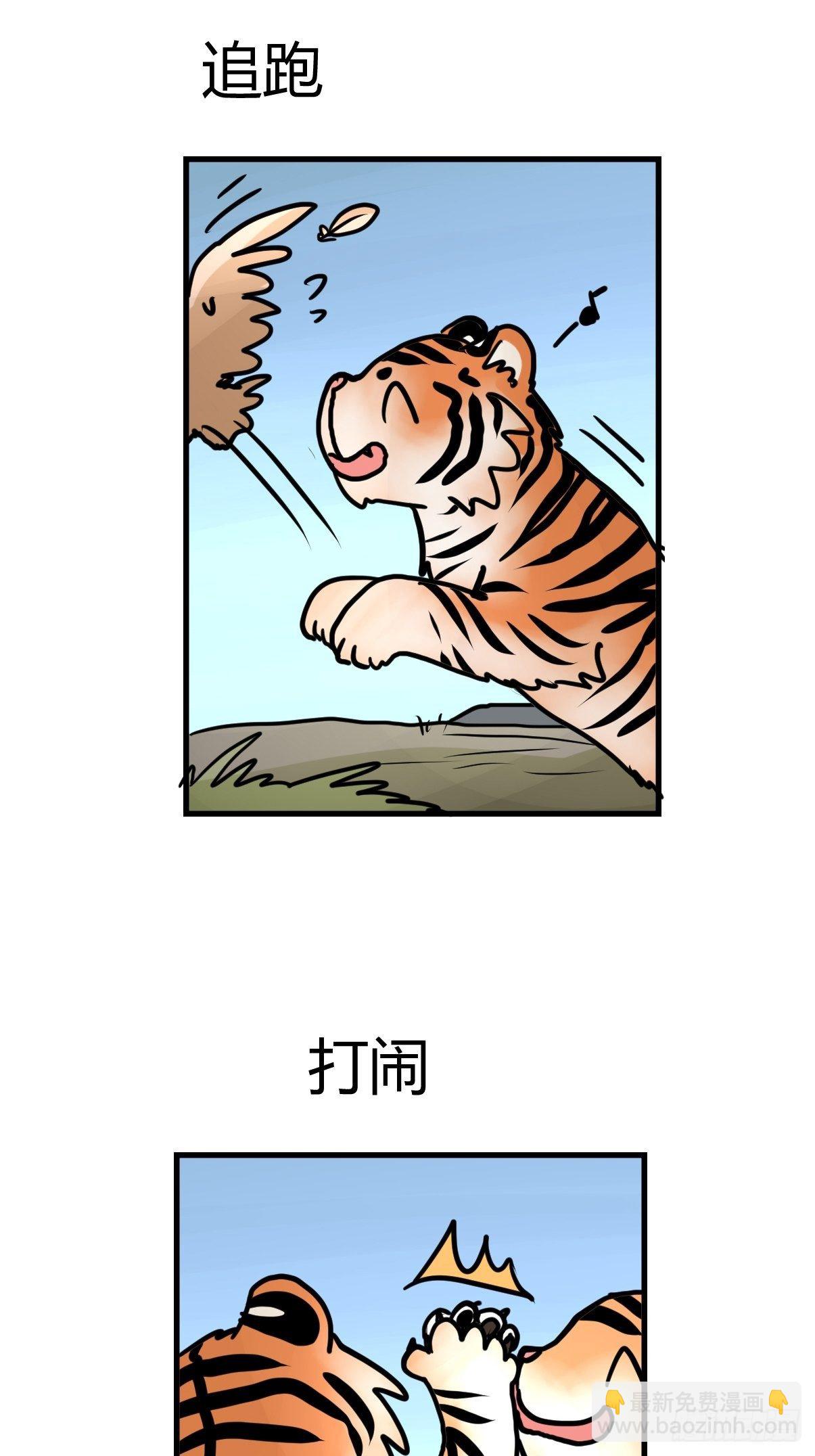 虎年特别篇：王者归来08-第268话