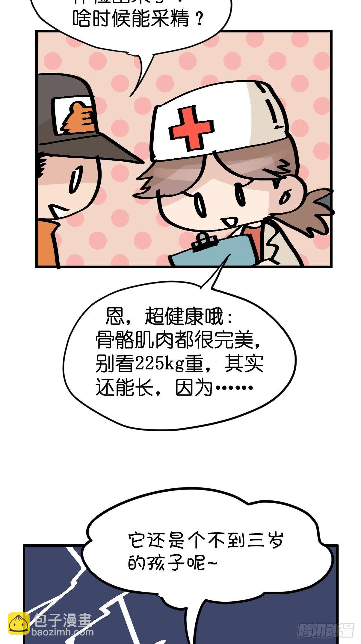 虎年特别篇：王者归来08-第268话