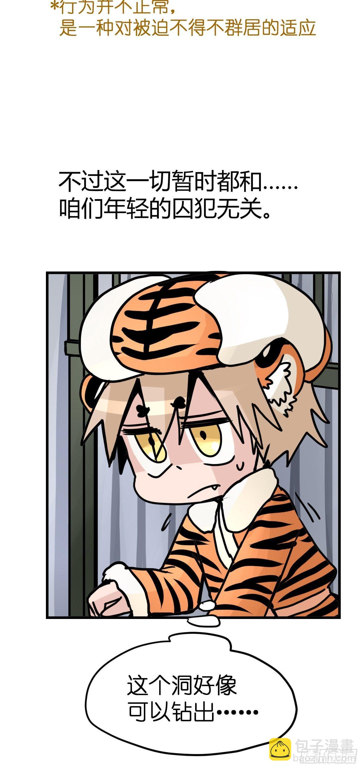 虎年特别篇：王者归来08-第268话