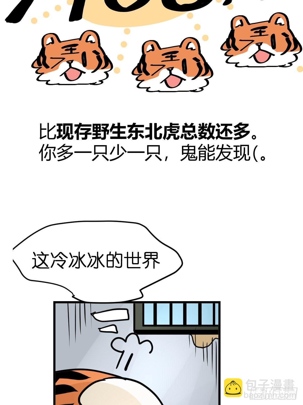 虎年特别篇：王者归来08-第268话
