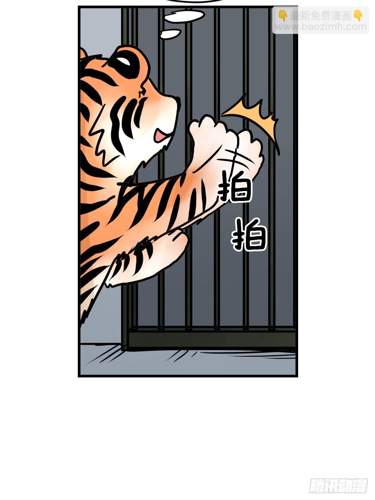 虎年特别篇：王者归来08-第268话