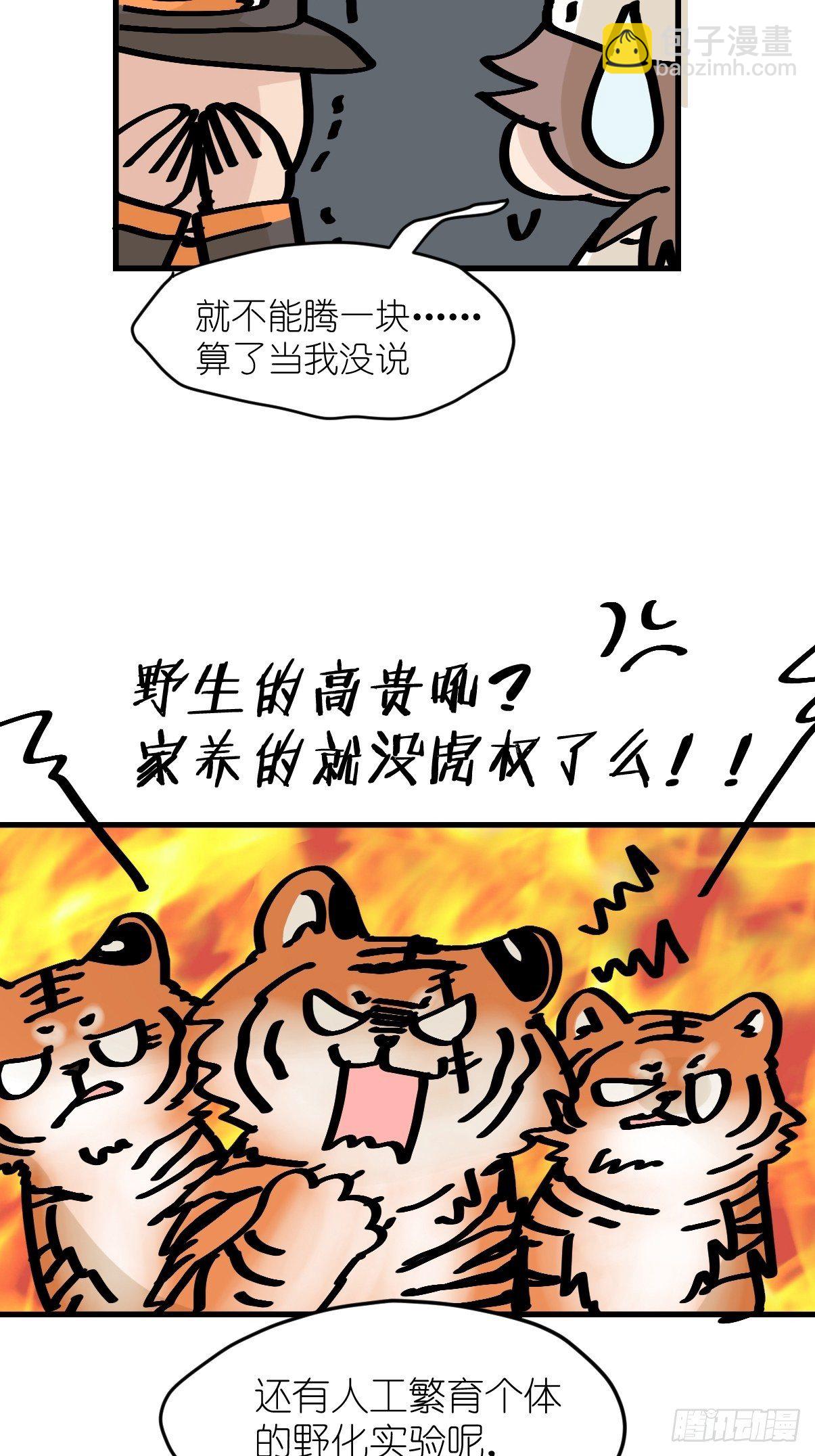 虎年特别篇：王者归来10-第270话