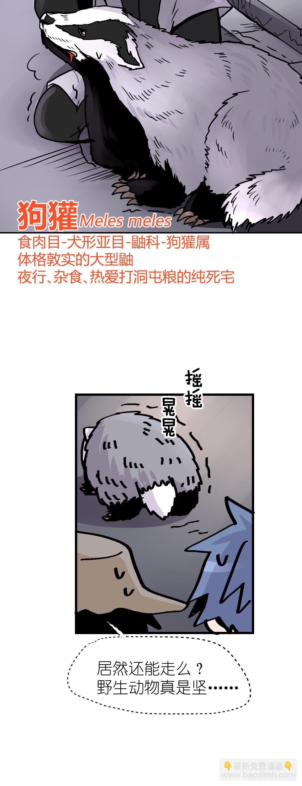 救助站篇01：紧急事件-第272话