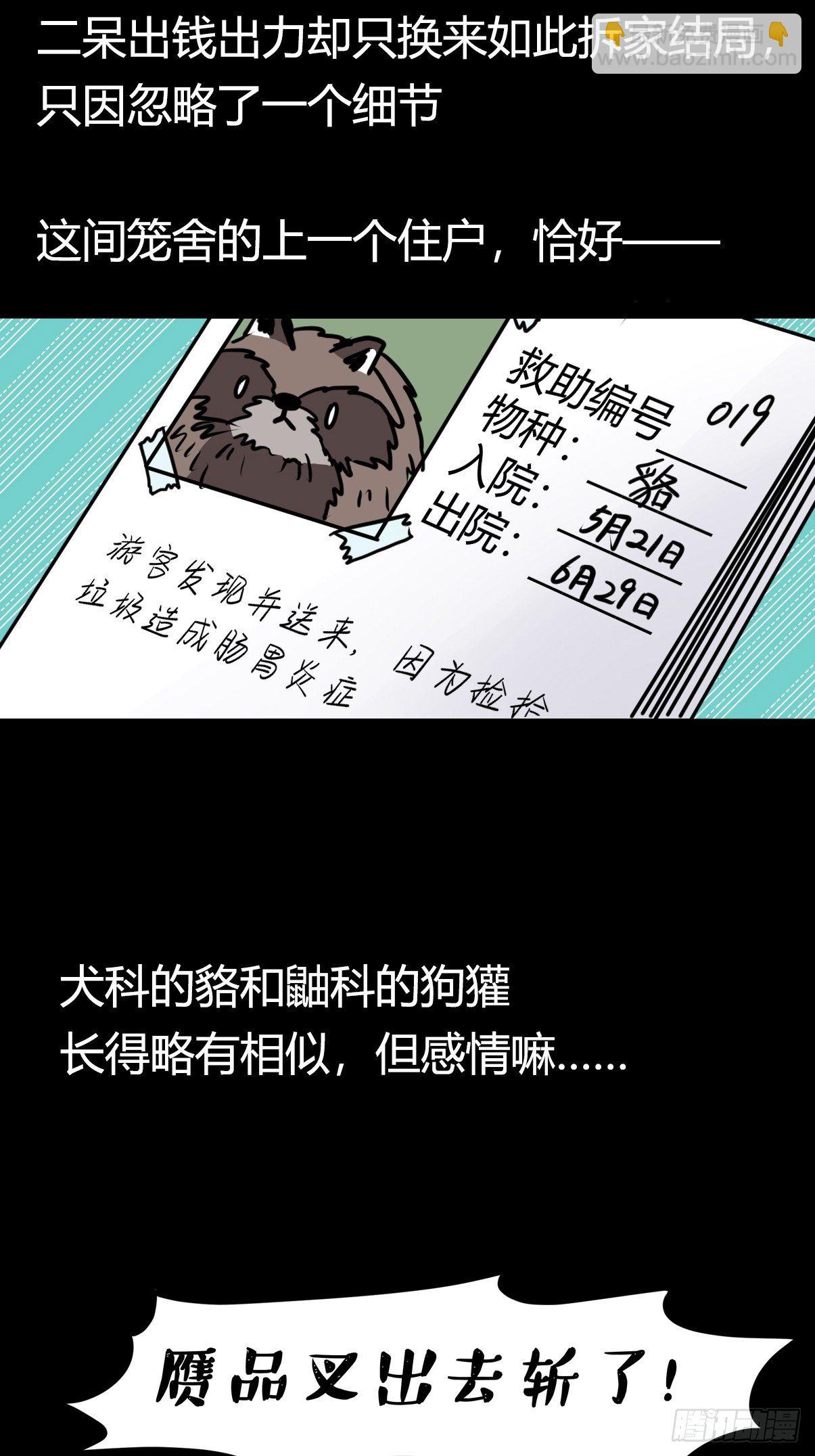 救助站篇03：人不如猹-第274话
