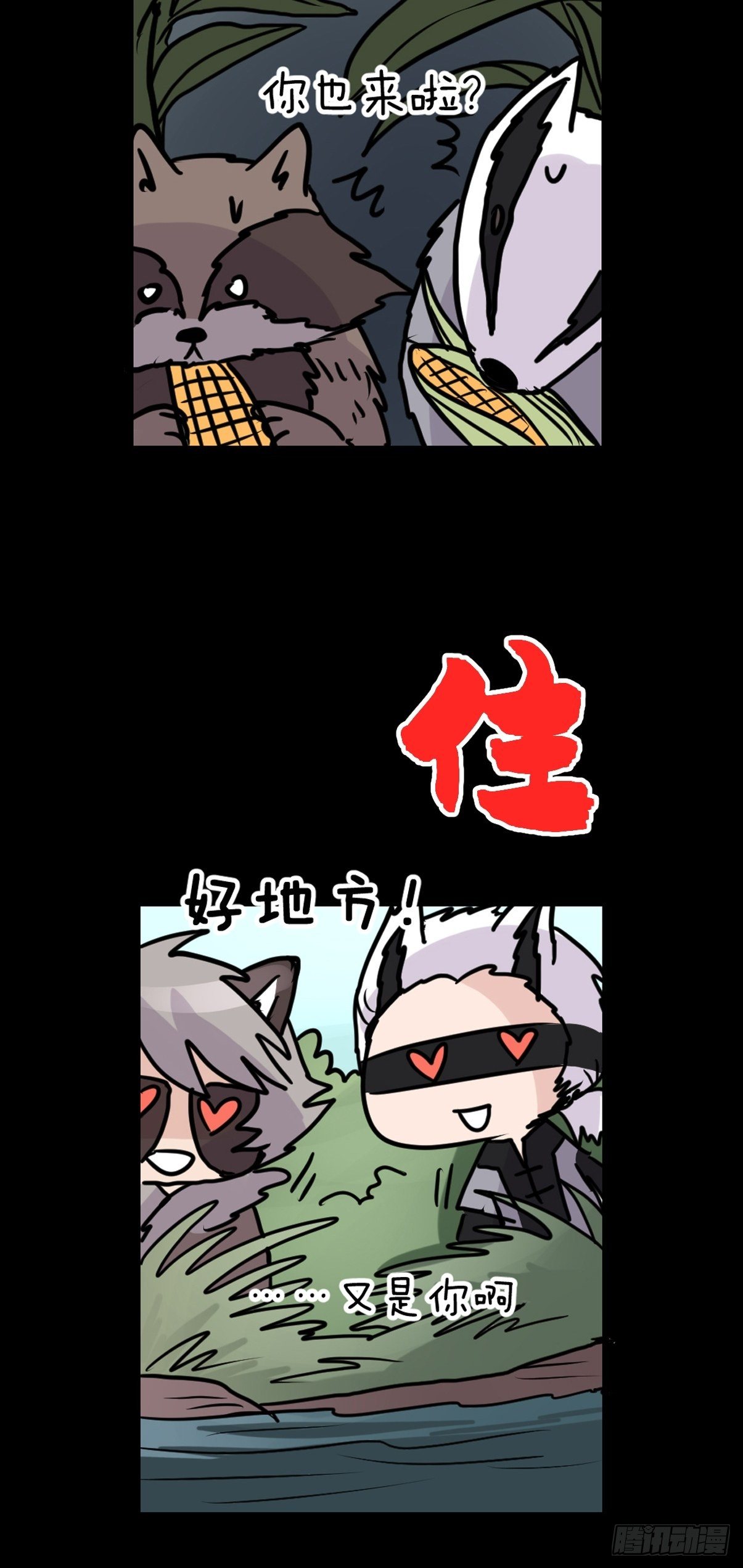 救助站篇03：人不如猹-第274话