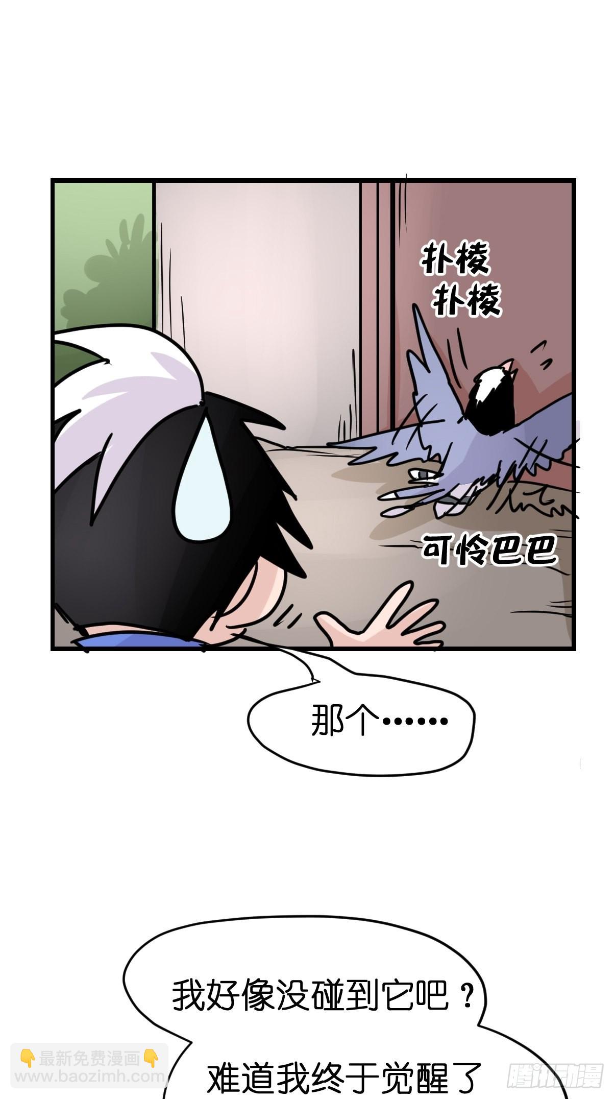 救助站13：鹊生如戏(1/2)-第284话