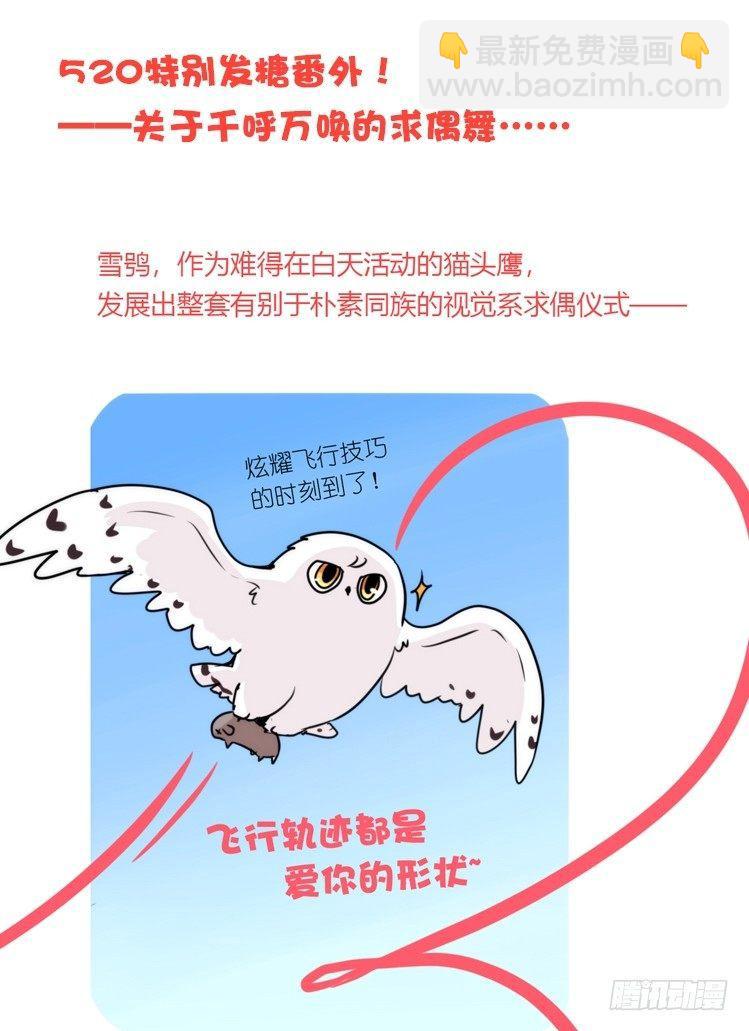 是这样的狮JI王？！05+番外-第30话
