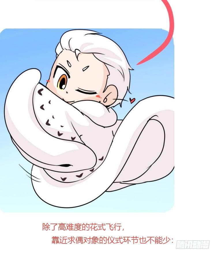 是这样的狮JI王？！05+番外-第30话