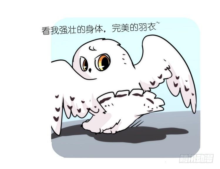 是这样的狮JI王？！05+番外-第30话