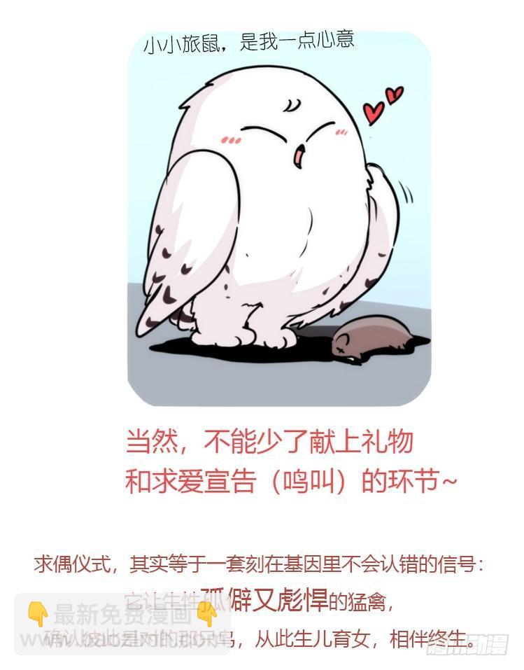 是这样的狮JI王？！05+番外-第30话