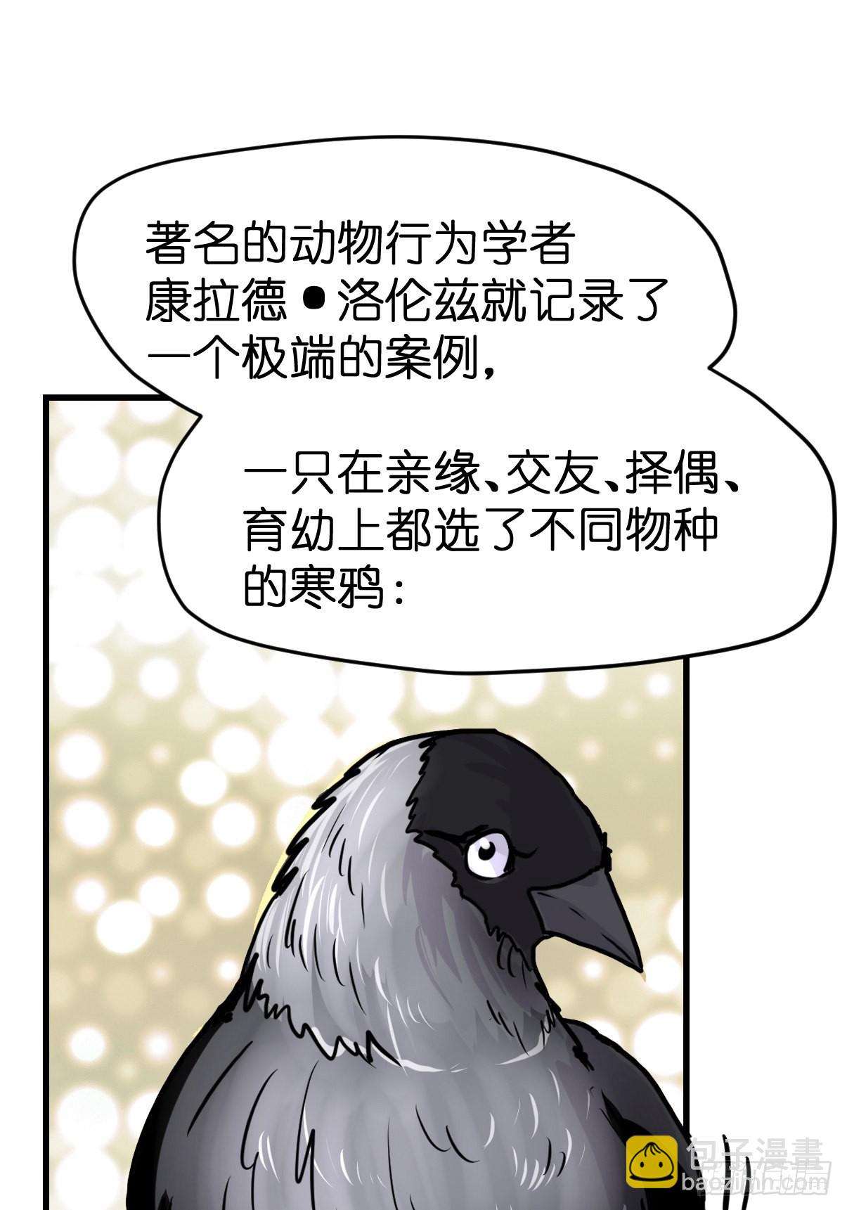 救助站21：余波未平(1/2)-第292话