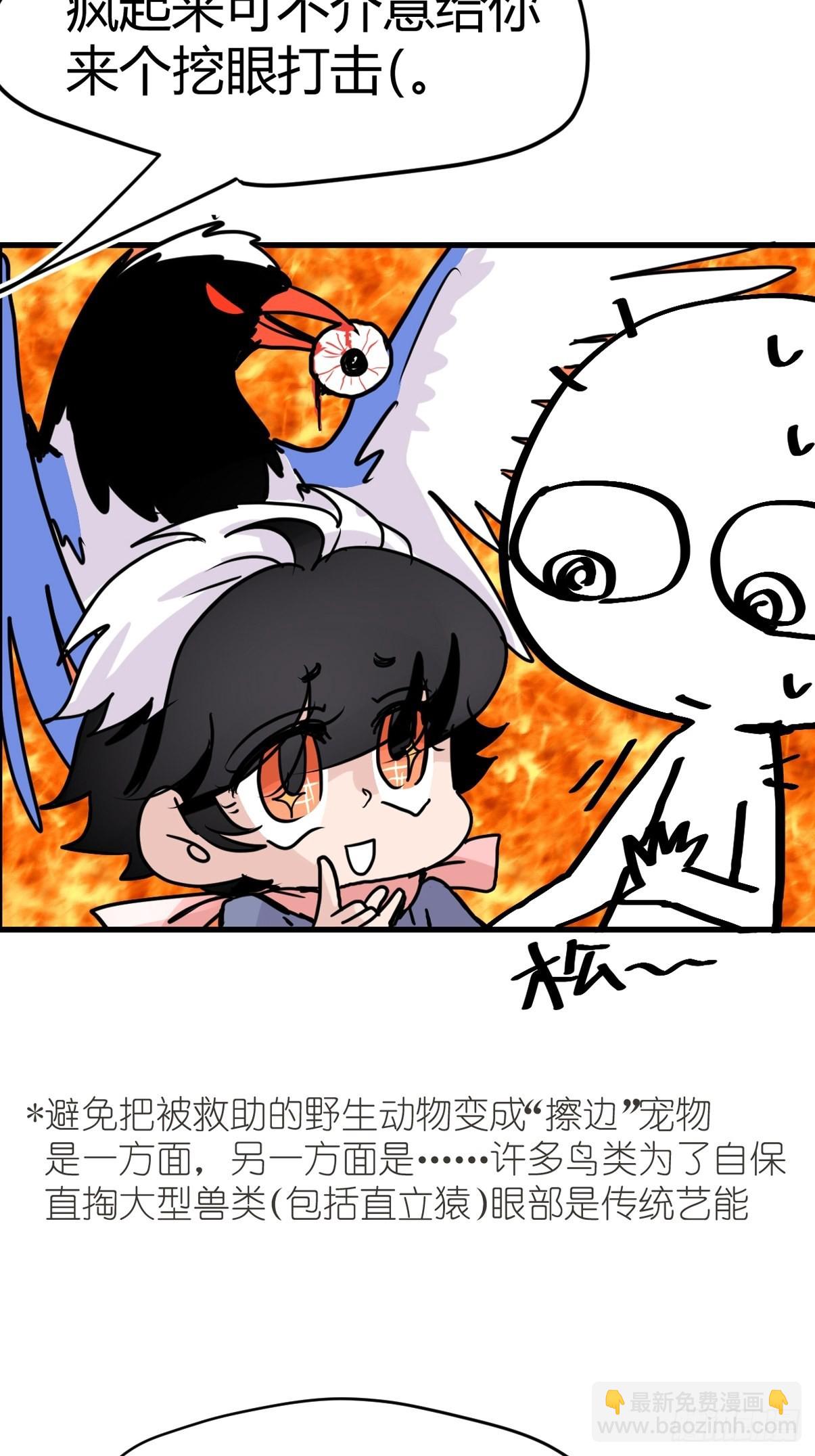 十日谈04：反省会和神展开(1/2)-第296话